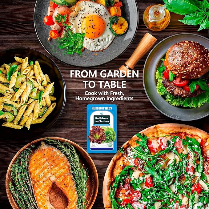 Lettuce Seed Pods Kit for Hydroponic, 12 Pods Red&Green Leaf Lettuce Grow Anything Kit for Indoor Hydroponics Growing System, Hydroponics Supplies with 12 Grow Sponges, 12 Plant Baskets