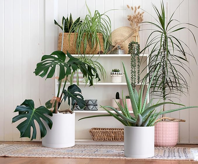 D'vine Dev 2 Pack 10 Inch Modern Plastic Plant Pots, Cylindrical Garden Planters for Plants with Drainage Holes and Saucers, White, 74-Z-N-1