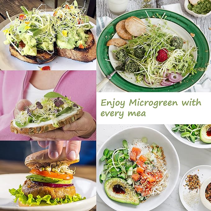 Microgreen Growing Trays, LUVCSOY Sprouting Tray with Humidity Dome, 3mm Large Mesh Holes, BPA Free, Sprouter Kit for Growing Large Seeds, Like Sunflower, Mung Beans, Green Pea - 4 Pack | Colorful