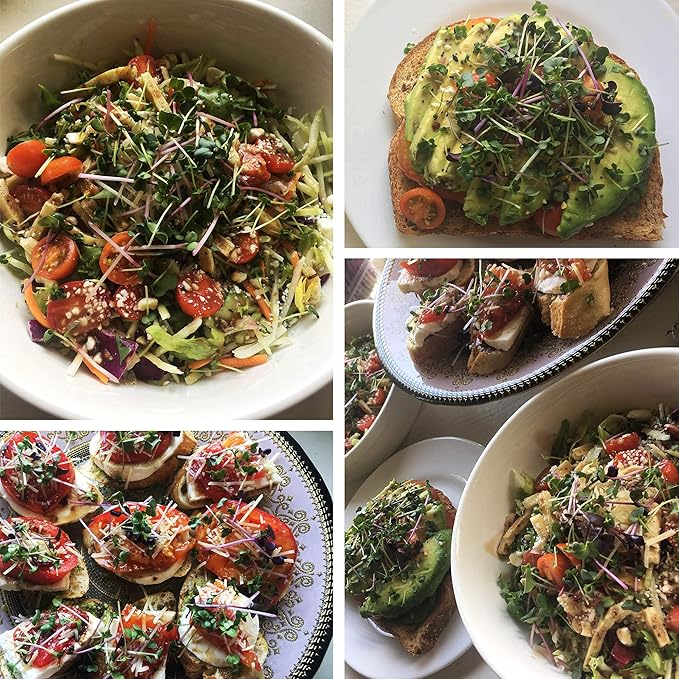 Self Watering Indoor Microgreens Kit - Hydroponic Microgreens Growing Kit for Vegetable Seeds & Herb Seeds - Broccoli, Rambo Radish, Red Tatsoi, China Rose Radish, Spicy Salad Mix, Basic Salad Mix