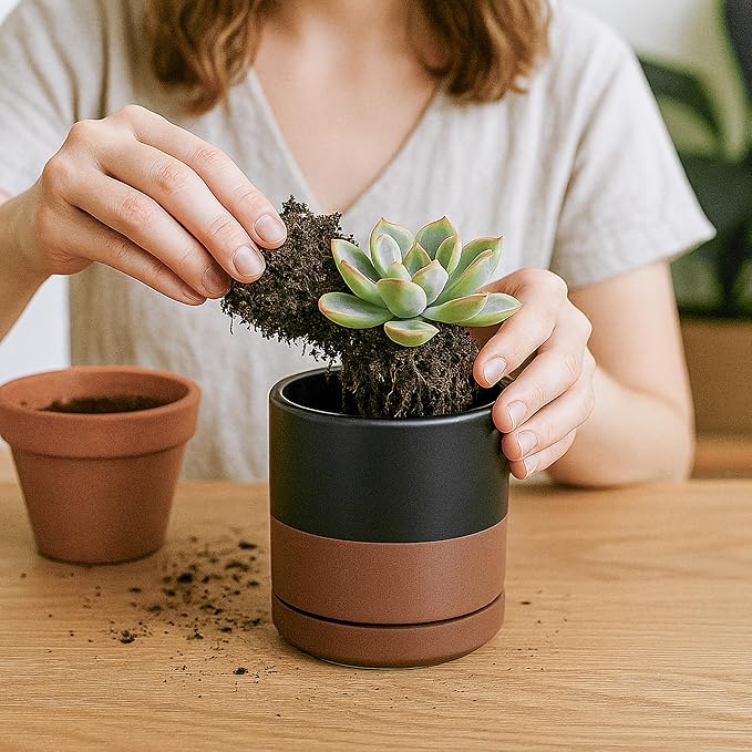 D'vine Dev 3 Inch & 4 Inch & 6 Inch, Set of 3 Round Ceramic Planter Pot with Drainage Hole and Saucer, Black/Speckled Tan, 94-T-S-7