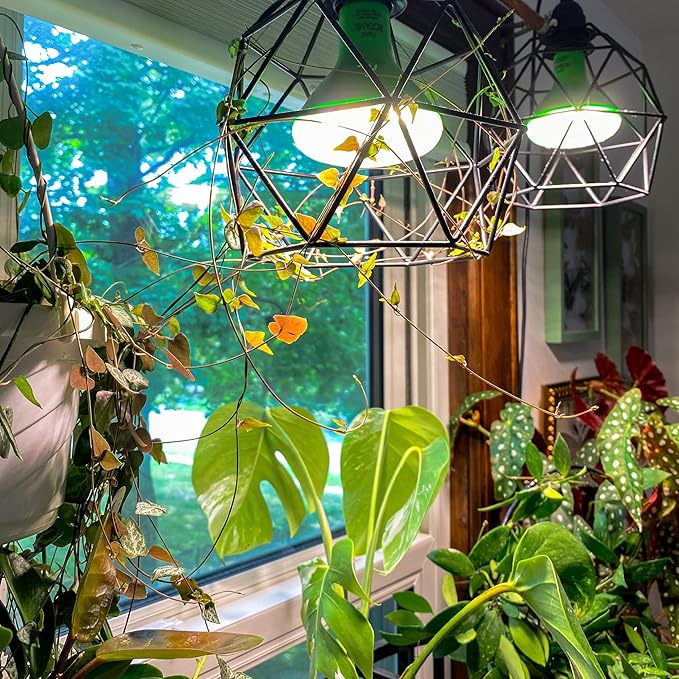 NorbBOTANIC BR30 LED Grow Light – Full-Spectrum Sunlight Bulb for Indoor Plants - 14W Energy-Efficient Grow Lamp for Indoor Houseplants, Herbs, Seedlings & Tropical - E26 Base (2-Pack)