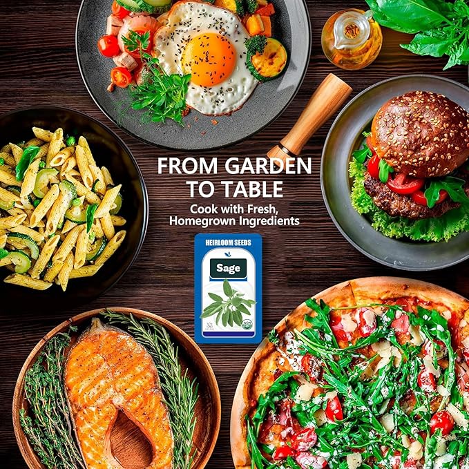 Oregano Seed Pods for All Hydroponics Growing Systems, 12 Pods Herb Kit with 600+ Seeds of Oregano, Grow Your Own Herb Garden at Home