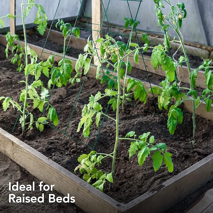 Cucumber Trellis - A Frame Trellis for Raised Bed Climbing Plants, Vegetables. Includes Plant Support Clips, Gardening Gloves, Cable Ties - Made from Galvanized Steel - Weather-Resistant