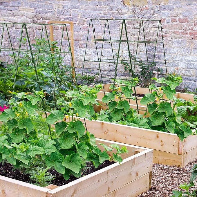 AGTEK 30" x 56" Foldable Cucumber Trellis with Zip Ties Plant Support A Frame Metal Trellis for Climbing Plants, Cucumber, Vegetable