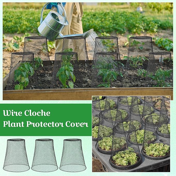Therwen 6 Pcs Large Chicken Wire Cloche Plant Protector Cover 11x12 Inch Metal Garden Cloche Dome for Plants Wire Protection Basket with Garden Stakes Plant Cages from Animals (Black)