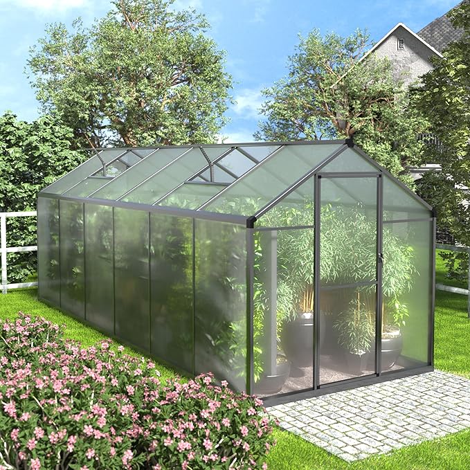BlueWish 6x12FT Greenhouse for Outdoors, Aluminum Heavy Duty Greenhouse Kit with Lockable Door, 4MM Thickness Polycarbonate, Upgraded Rivet Structure Walk-in Green House for Garden, Gray