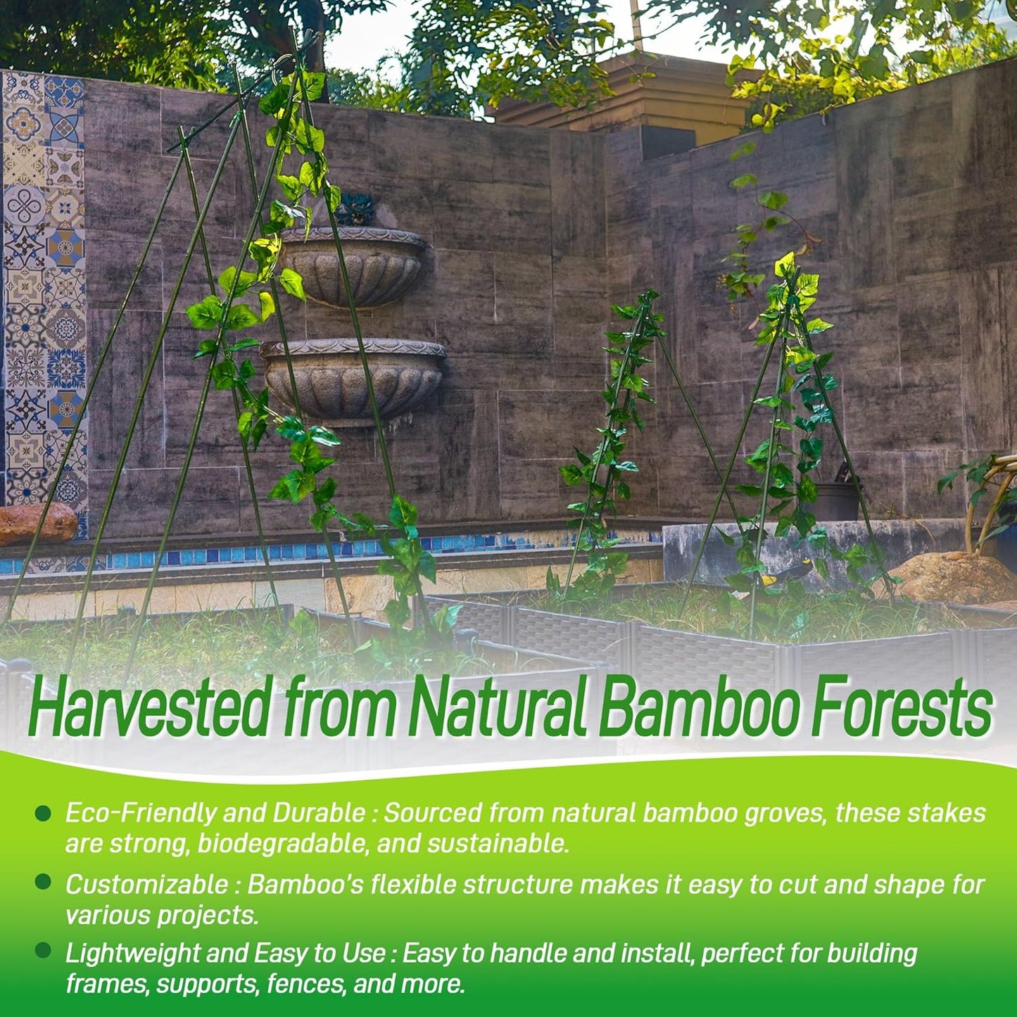 50Pcs 2ft Bamboo Sticks for Indoor Outdoor Plants, 0.29"-0.38" Natural Bamboo Poles, Durable Garden Stakes for Tomatoes, Beans, Flowers and Potted Plants