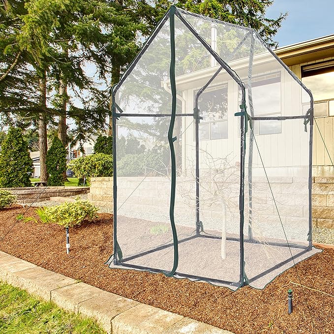 Gardzen Mini Greenhouse Heavy Duty Portable Green House, Clear Tent Small Greenhouse for Indoor Outdoor Plants 36.2”(L) x36.2”(W) x59.5”(H)