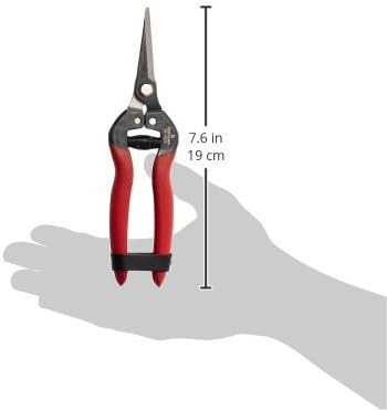 Corona AG 4930 Long Straight Snip, Tempered Steel