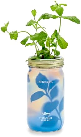 Modern Sprout Mason Garden Jar - Self-Watering Hydroponics Growing System Kit with Organic Herb Seeds - Jar Planter for Indoor Herb Garden - Seed Starter Kit - Home Decor & Gifting - Mint