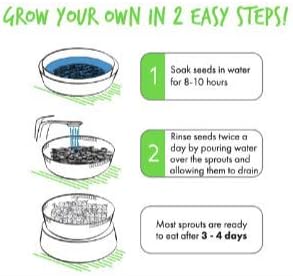 Handy Pantry Complete Sprouts Growing Kit | Sprouting Kit with 3 Stackable Sprouting Trays | Seed Sprouter, BPA-Free | Includes Organic Sprouting Seeds & Instructions