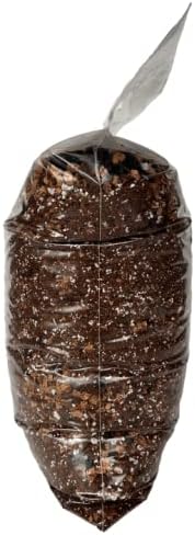 Peace Lily Imperial Houseplant Potting Soil Mix by rePotme - Standard Bag (8 Quarts)