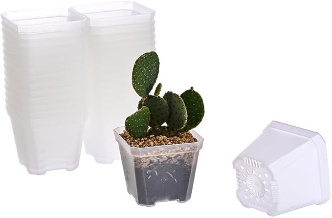 BangQiao 30 Pack Small 3.90 Inch Plastic Square Nursery Pot, Plant Starting and Transplant Planter Container with Drainage Hole for Seed Germination, Clear