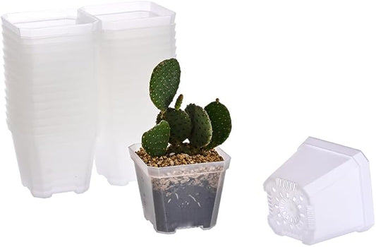 BangQiao 30 Pack Small 3.90 Inch Plastic Square Nursery Pot, Plant Starting and Transplant Planter Container with Drainage Hole for Seed Germination, Clear