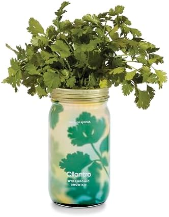 Modern Sprout Mason Garden Jar - Self-Watering Hydroponics Growing System Kit with Organic Herb Seeds - Jar Planter for Indoor Herb Garden - Seed Starter Kit - Home Decor & Gifting - Cilantro