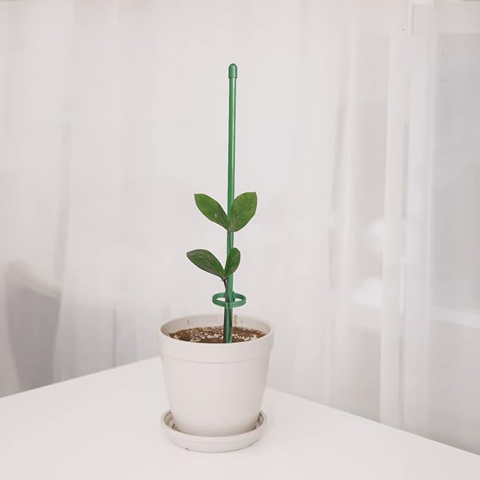12 Inch Plant Support Stakes, with Adjustable Retaining Ring Green Plant Sticks Support Stakes for Indoor and Outdoor Plants,Flowers,Climbing(10Pcs)