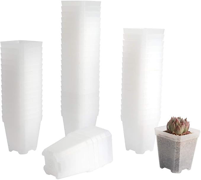 BangQiao 60 Pack Small 2.70 Inch Plastic Square Nursery Pot, Plant Starting and Transplant Planter Container with Drainage Hole for Seed Germination, Clear