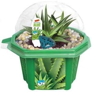 Toys By Nature Character Micro Dome Aloe Plant Terrarium Kit, Decorative and Easy-to-Grow Mini Terrariums with Complete Supplies, Grow Your Own Decorative Plants! (Alex The Soothing Aloe)
