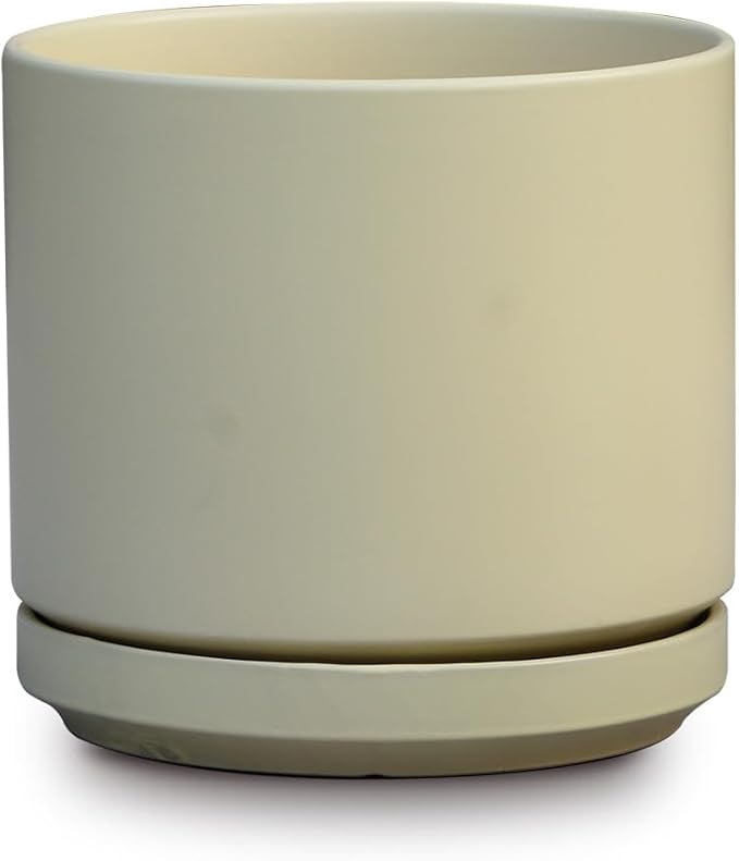 Mid Modern Planter with Detached Saucer (Cloud White,10.0" D x 9.0" H)