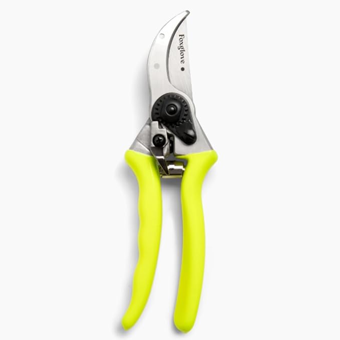Foxglove 8.5" Garden Shears – Professional Bypass Pruners with Japanese High Carbon Steel Blades, Hand Pruners with Ergonomic Grip, Garden Clippers, Pruning Shears Heavy Duty