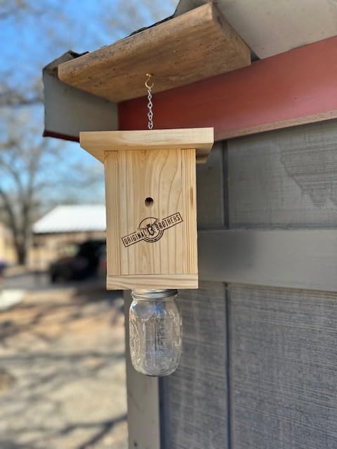 Carpenter Bee Trap