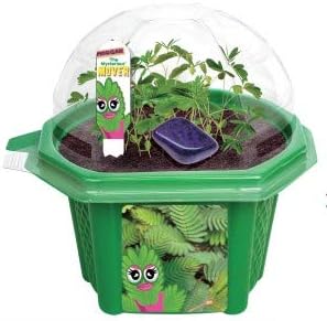 Toys By Nature Character Micro Dome Moving Plant Terrarium Kit, Moves When You Touch It - Complete Terrarium Supplies Includes Everything Needed to Grow - Just Add Water (Morgan The Mighty Mover)