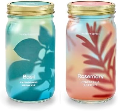 Modern Sprout Mason Garden Jar - Self-Watering Hydroponics Growing System Kit with Organic Herb Seeds - Jar Planter for Indoor Herb Garden - Seed Starter Kit - Home Decor & Gifting - Basil+Rosemary