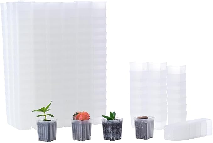 BangQiao 300 Pack 1.55 Inch Tiny Clear Plastic Square Nursery and Seedling Pot, Mini Transplant Seed Starter Planter with Drain Hole for Germination, Herb, Succulent