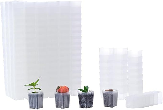 BangQiao 300 Pack 1.55 Inch Tiny Clear Plastic Square Nursery and Seedling Pot, Mini Transplant Seed Starter Planter with Drain Hole for Germination, Herb, Succulent