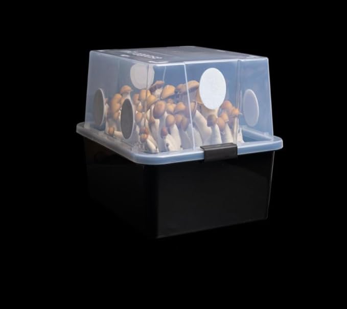 Grower's Select 28Q Cube Mushroom Monotub Fruiting Chambers with Filter Disks and Liners (2 Pack)