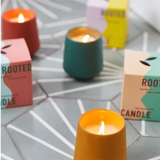 Modern Sprout Rooted Candle - 2 in 1 Cedarwood Scented & Soy Candle with Seeds That Grows into Lavender Plant - 6 oz w/ 42 hr Burn time in Matte Glaze Ceramic Vessel Ideal for Indoor Herb Garden