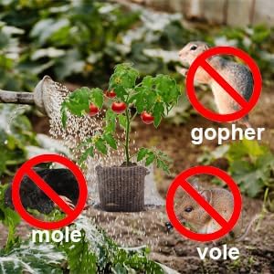 Gopher Wire Baskets, mole Guard,Root Guard,28 pcs Gopher Baskets 5 Gallon,3 Gallon,1 Gallon,1 Quart Bulb Basket for Protect Roots,Tubers and Bulbs from Vole, Gopher and Mole
