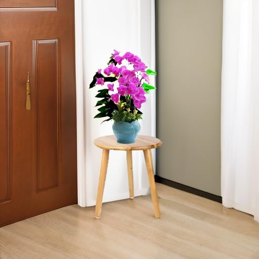 Plant Stand stool for Plant Small Plants Stand - Plant Table Mid Century Plant Stands