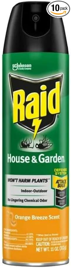 Raid House & Garden Insect Killer Spray, Orange Scent 11 Ounce (Pack of 10)
