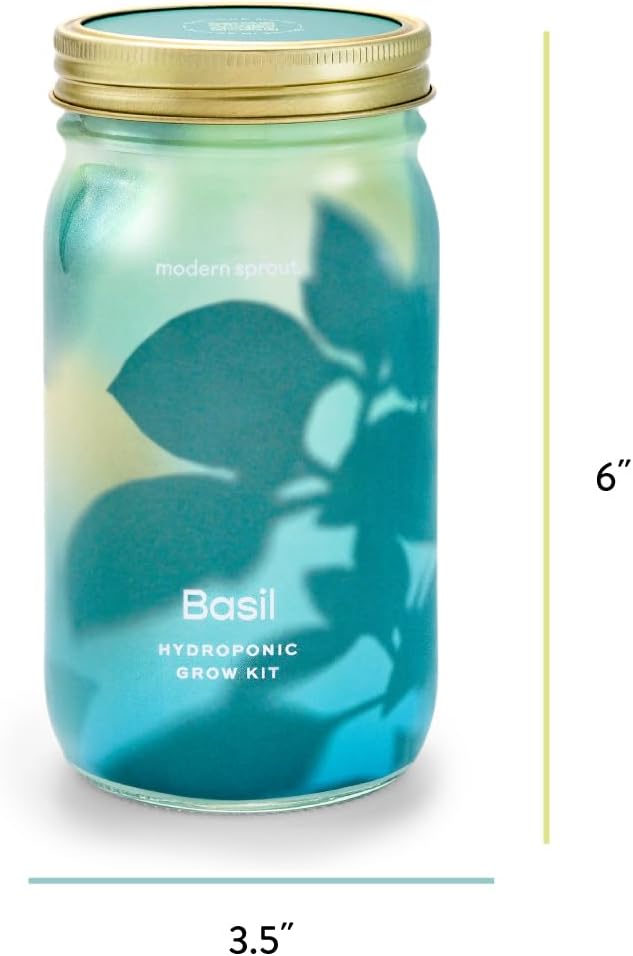 Modern Sprout Mason Garden Jar - Self-Watering Hydroponics Growing System Kit with Organic Herb Seeds - Jar Planter for Indoor Herb Garden - Seed Starter Kit - Home Decor & Gifting - Basil+Cilantro