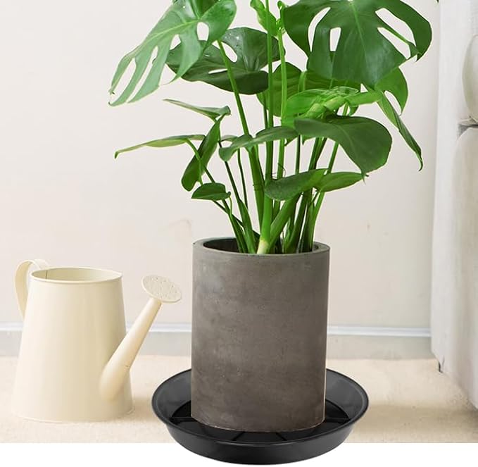 Plant Saucer 12 Inch 2 Pack, Plant Trays for Pots Heavy Duty Round Plastic Plant Saucers for Indoors Outdoors, Flower Pot Drip Trays, Clear Black Flower Plant Pot Saucer, Plant Pot Tray