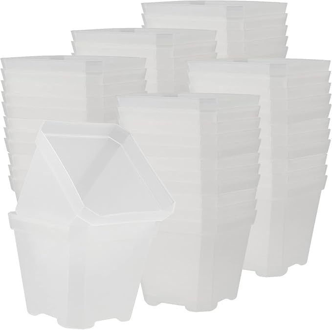 JOIKIT 60 Pack 4 Inch Clear Square Nursery Pot, Plastic Plant Starter Pot with Drainage Hole, Seedling Nursery Transplant Planter for Indoor, Outdoor, Garden, Office, Balcony
