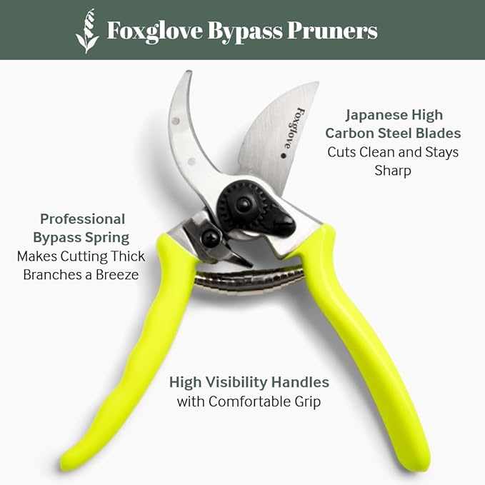 Foxglove 8.5" Garden Shears – Professional Bypass Pruners with Japanese High Carbon Steel Blades, Hand Pruners with Ergonomic Grip, Garden Clippers, Pruning Shears Heavy Duty