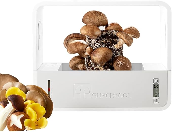 Indoor Mushroom Growing kit Includes Mushroom Grow Light,Fresh air System,Temperature,Automatic humidification for Shiitake Mushrooms,Lions Mane Grow kit,Gardening Gifts