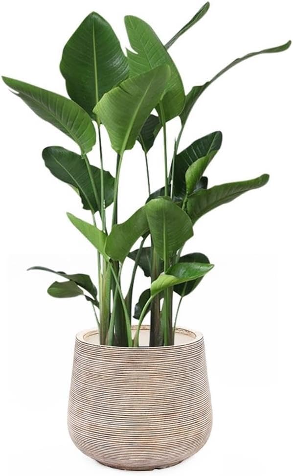 LuxenHome 17" Dia Round Planters for Indoor Plants, Large Outdoor Planters with Drainage Holes, Concrete Distressed Plant Pots Indoor & Outdoor for Home Garden Patio