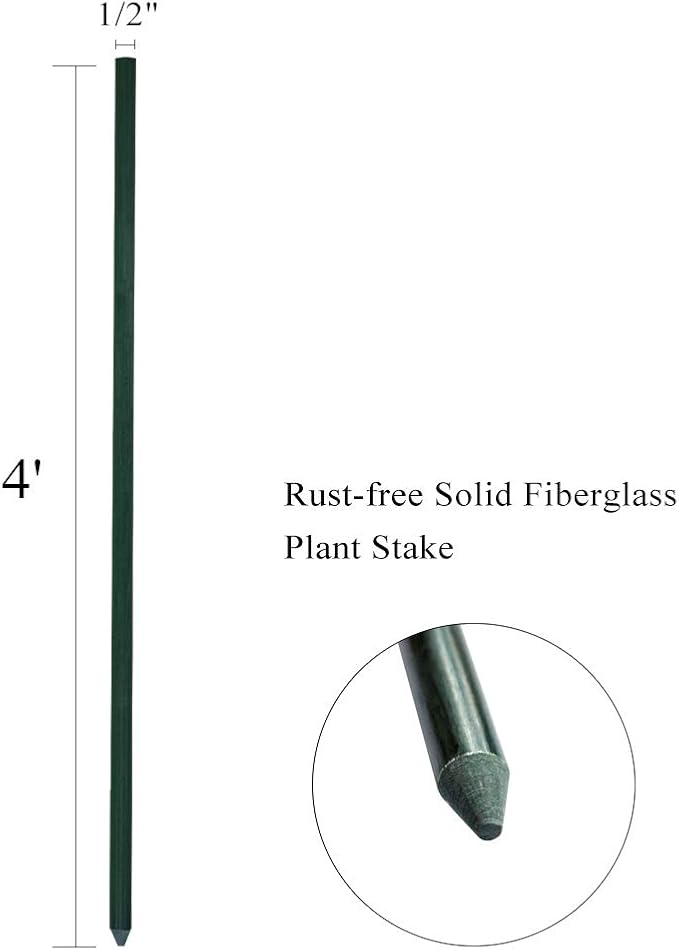 48inch Plant Stakes 10pack, 1/2 Inch Dia Garden Stakes, Garden Poles Tree Stake Cucumber Potato Stake Fence Stake Never Rust, 4ft Long