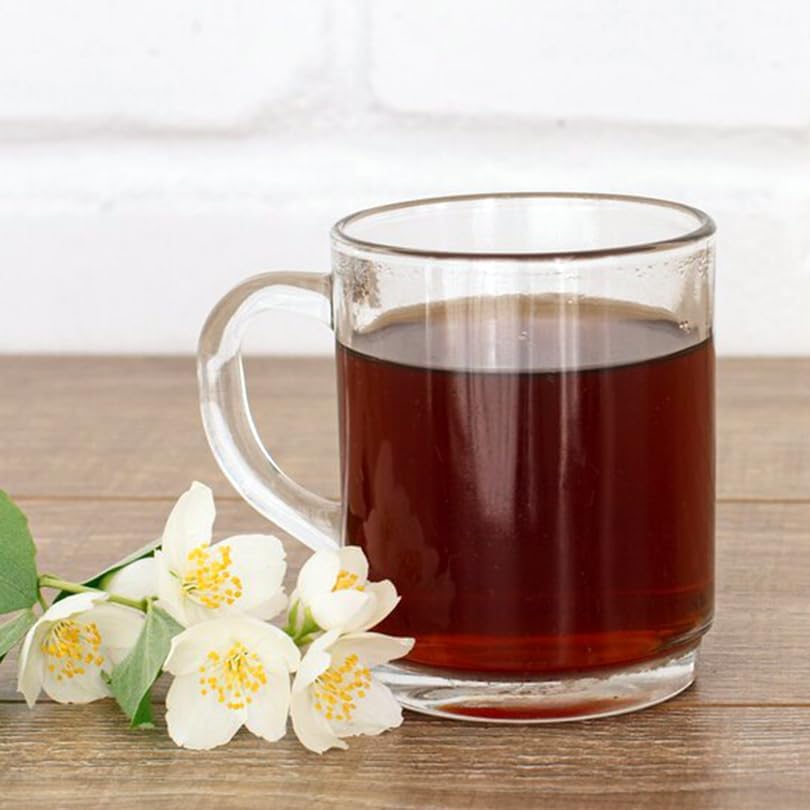 Camelia Tea Plant (4 Pack) | Real Live Plant for Sale | Perfect for Tea Lovers | Hardy and Easy to Grow for Planting | Grow Organic Tea Leaves at Home | Great for Indoor or Outdoor Gardens