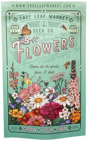 Northeastern Wildflower Seeds Bulk – 1 lb, 640,000+ Seeds – Annual & Perennial Wildflower Mix with Native Northeast Flowers – Regional Pollinator Flower Seed for Garden & Meadow
