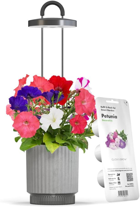 Mini Smart Planter Kit with Petunia Plant Pods by Click&Grow, Hydrovase Indoor Garden, Self-Watering Pot with Grow Light (Grey)