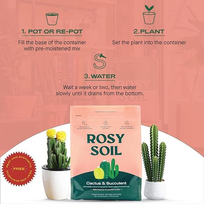 Rosy Soil Cactus and Succulent Potting Soil Mix for Houseplants - Fast Draining Organic Potting Soil for Succulents, AloeVera, Indoor Plant - Root Boosting for Drought Tolerant Growth, Pack of 2