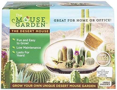 Mini Office Cactus Glass Terrarium Starter Kit with Complete Supplies - The Desert Mouse Tiny Garden - Fun to Grow, Low Maintenance - Perfect for The Indoor Office Or Home Tabletop or Desk!