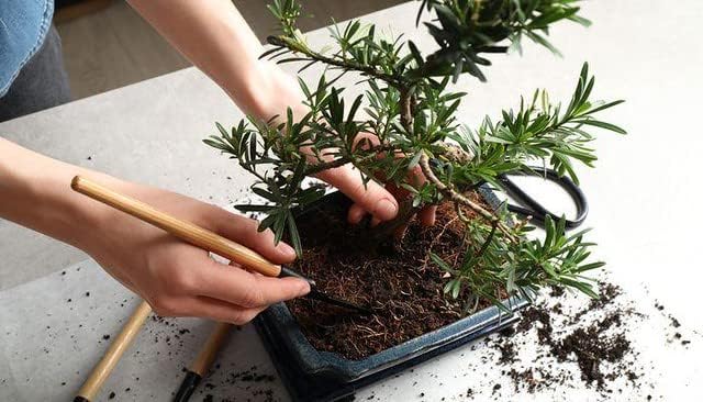 Professional Potting Mix for Bonsai Trees - Nutrient-Rich Blend for Vibrant Bonsai Trees - 4 Quart