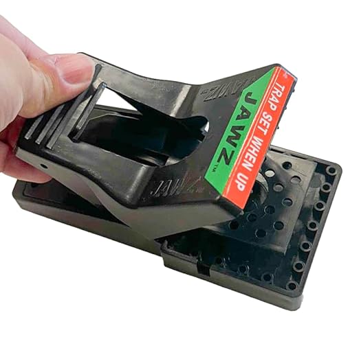 JAWZ Plastic Rat Traps – 12 Pack Bulk Snap Traps for Rats – Durable, Reusable Rodent Control – Easy to Set, Bait & Clean
