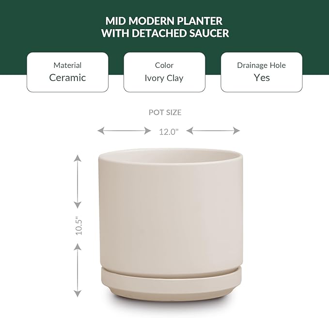 Mid Modern Planter with Detached Saucer (Ivory Clay,12.0" D x 10.5" H)